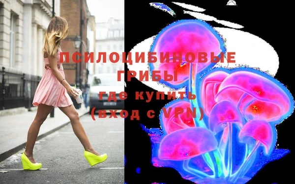 спайс Арсеньев