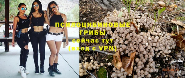 спайс Арсеньев